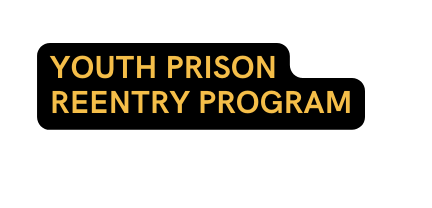 YOUTH PRISON REENTRY PROGRAM