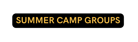 SUMMER CAMP GROUPS